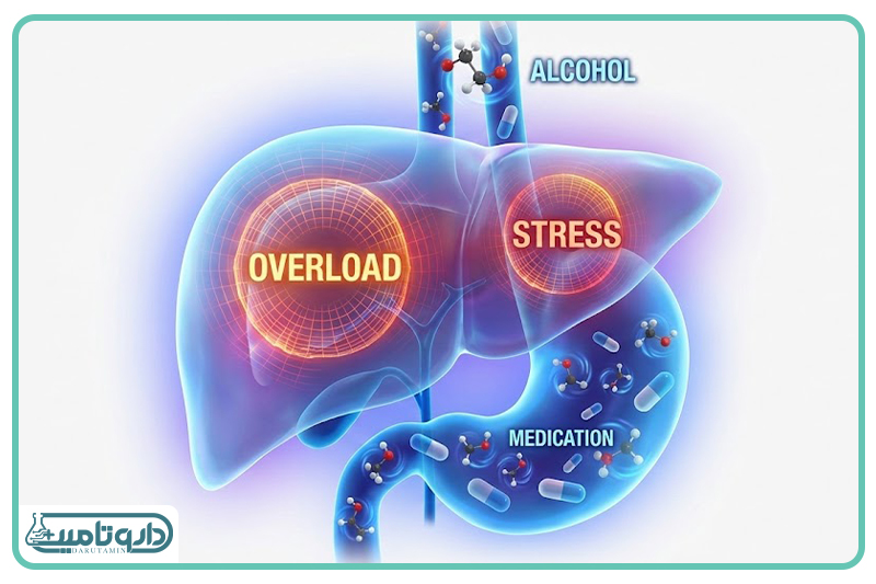 فشار مضاعف بر کبد و قلب