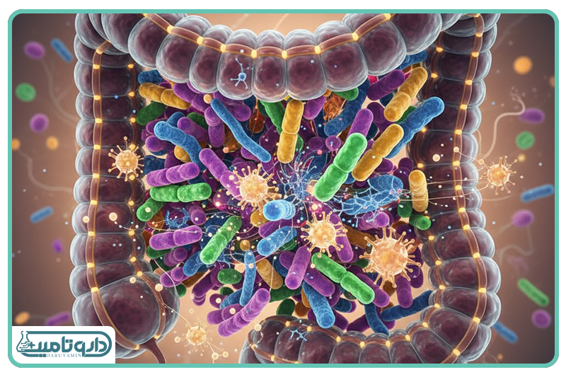 میکروبیوم روده چگونه سلامت ما را فرماندهی میکند؟