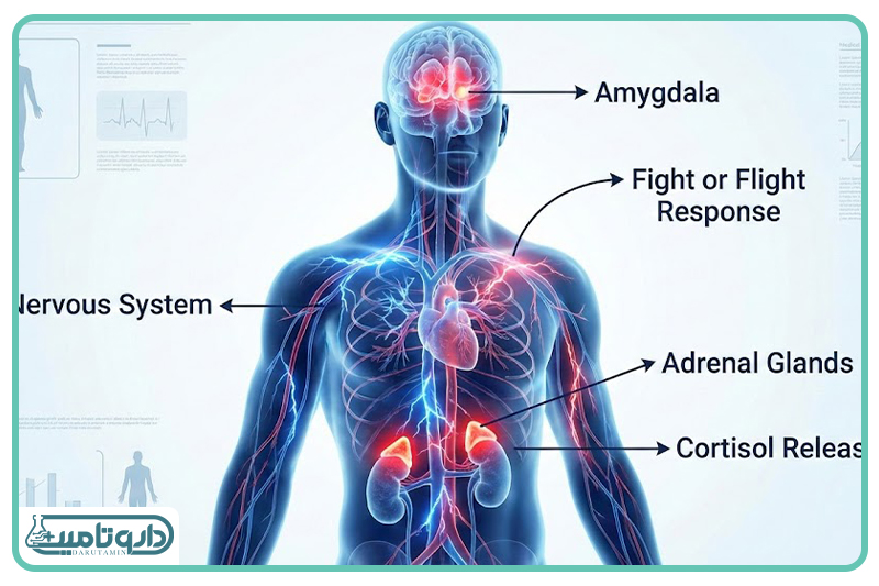آزمایشگاه پیچیده شیمیایی مغز