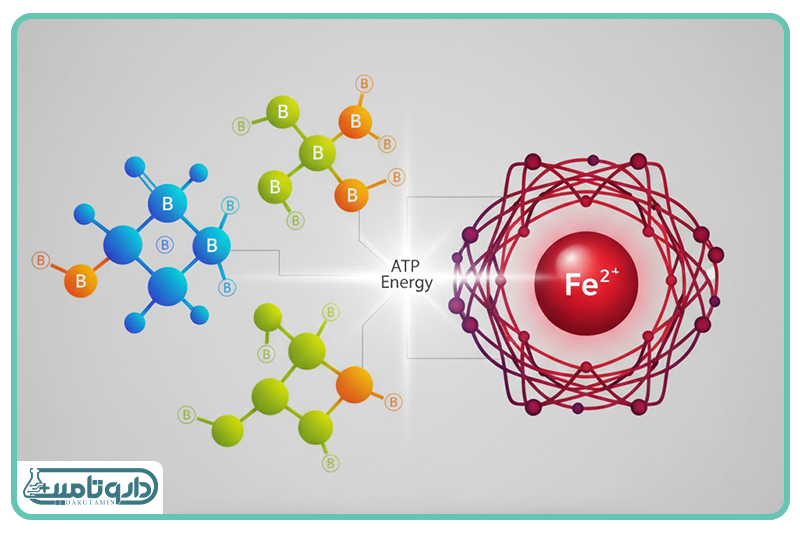 نیروگاههای اصلی؛ خدمه موتورخانه بدن