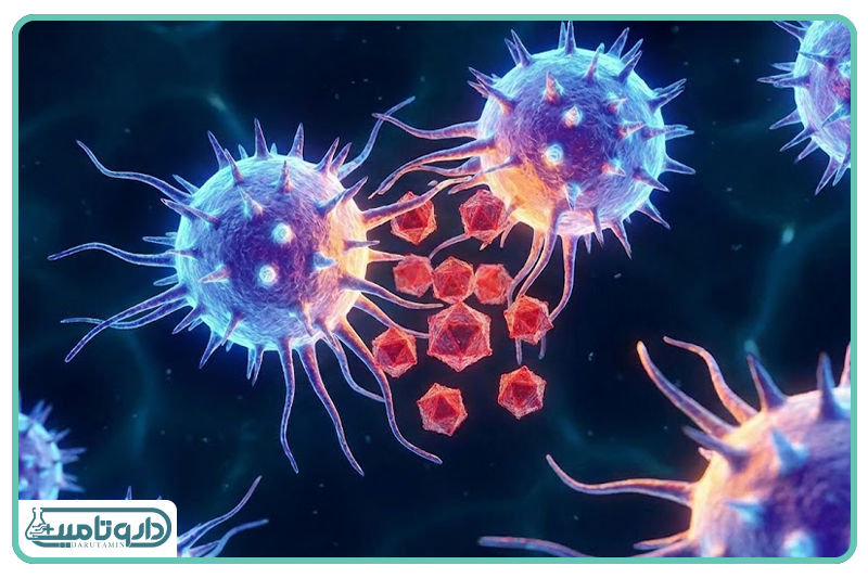 حافظه پنهان بدن و درسهایی که سیستم ایمنی از گذشته آموخته است