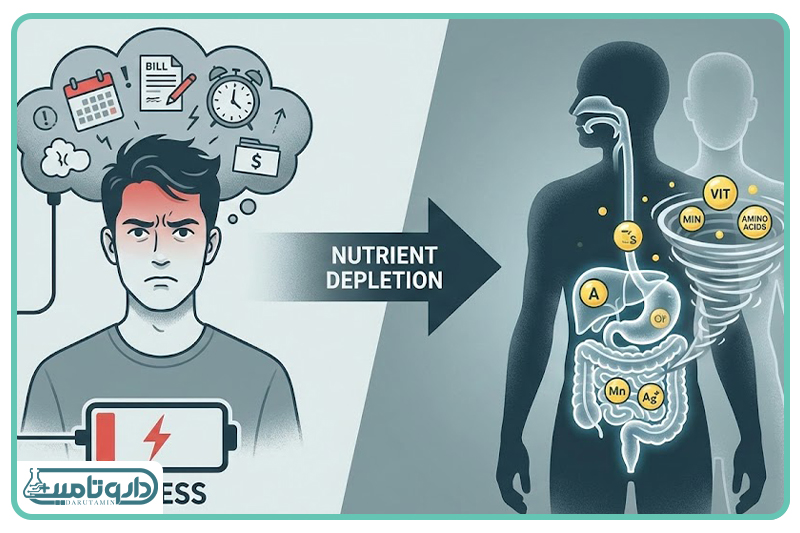 غارت ذخایر بدن