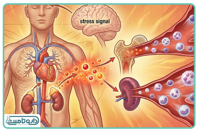 خلع سلاح سیستم ایمنی در برابر ویروس&zwnj;ها و باکتری&zwnj;ها