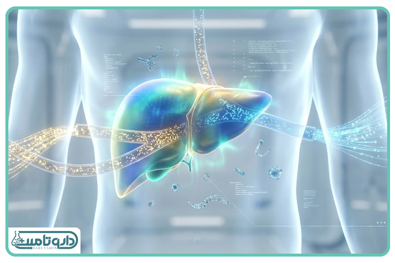 تلاش کبد برای سازگاری با شرایط جدید متابولیک