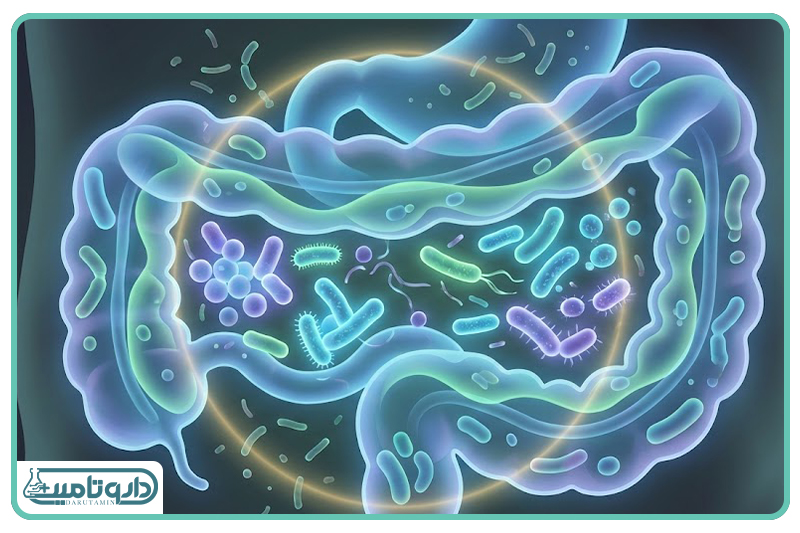 ارتش سری میکروبهای روده چگونه از ریهها محافظت میکند