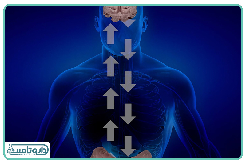 وقتی روده طوفانی است، ذهن آرام نمیگیرد