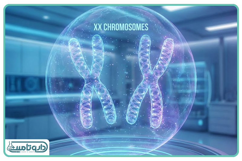 کروموزوم&zwnj;های جنسی