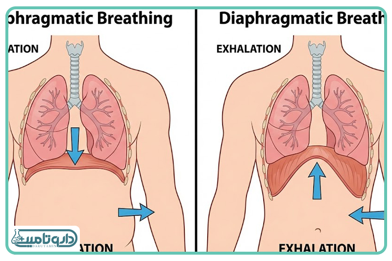 تکنیک&zwnj;های تنفسی و فیزیکی برای فریب مغز