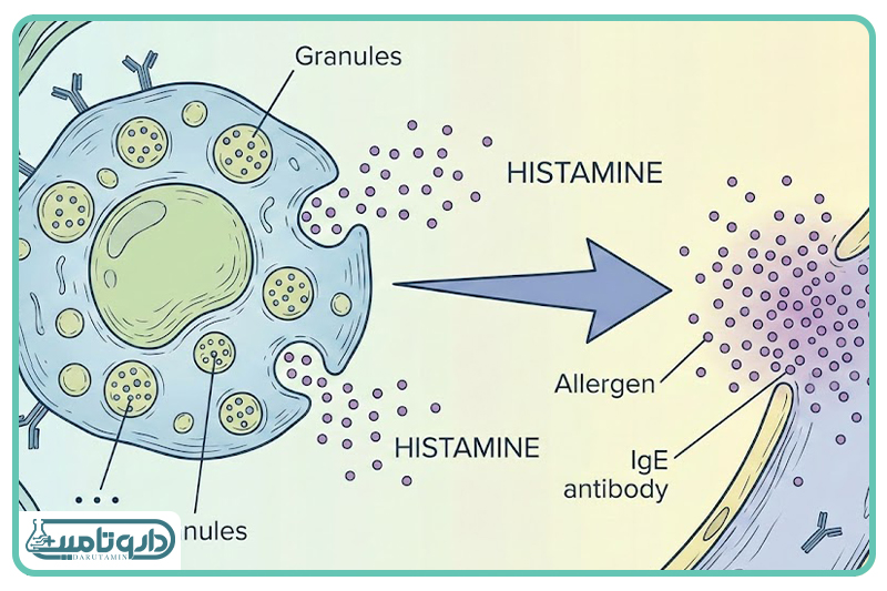 وقتی استروژن فرمان حمله صادر می&zwnj;کند