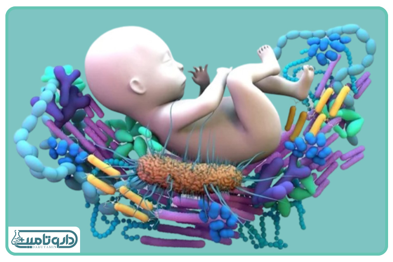 اولین ساکنان بدن: سفر شگفتانگیز میکروبیوم از تولد