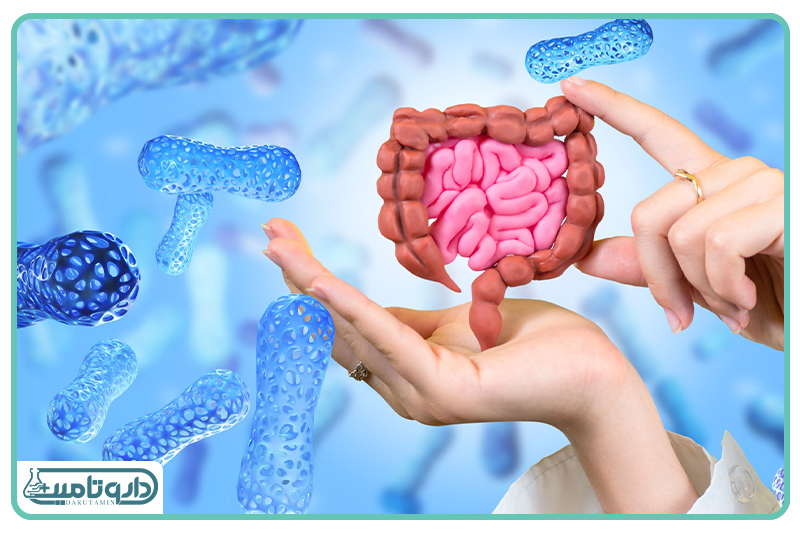 سپاه دفاعی کوچک بدن چگونه در روده