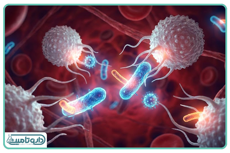 سیستم عصبی مرکزی و سیستم ایمنی