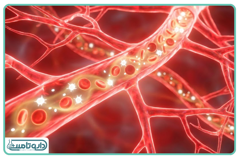 سلامت سیستم قلب و عروق