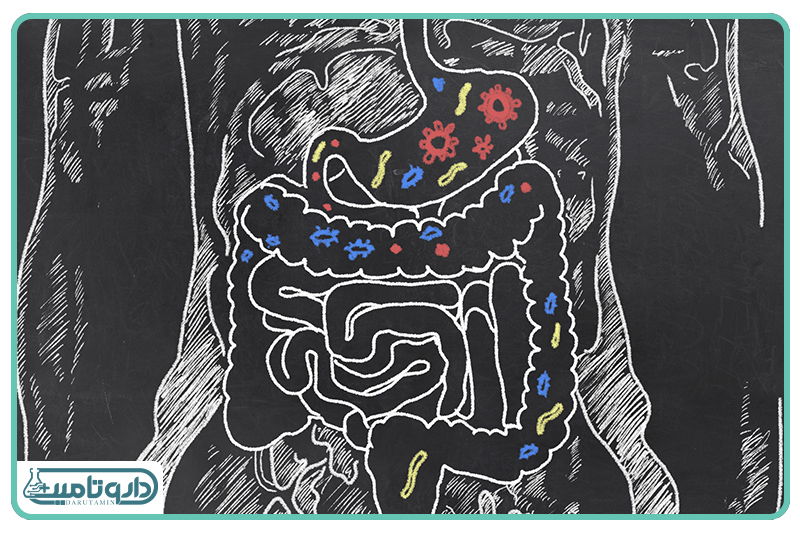 مغز دوم فرزند شما در شکم اوست