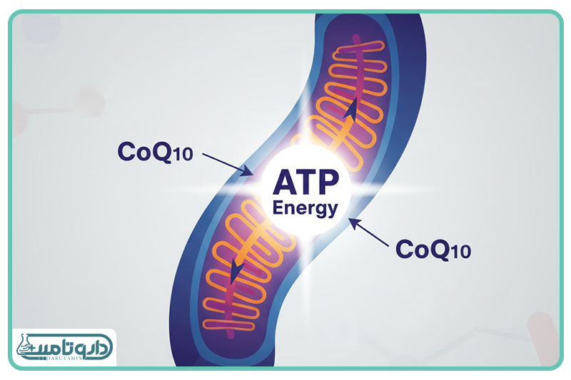 کوآنزیم Q10: شارژر باتریهای میتوکندری