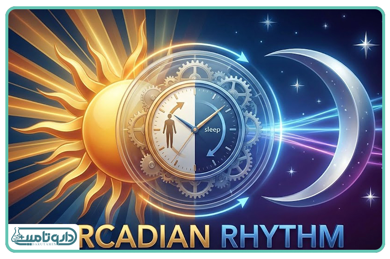 چرخه شبانه&zwnj;روزی