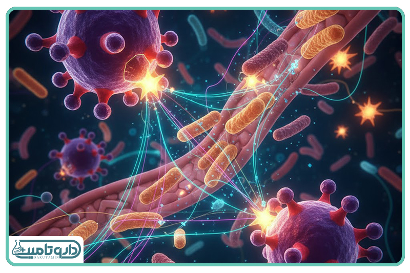 پلیفنلها؛ زبان گفتگوی گیاهان با اکوسیستم درون ما