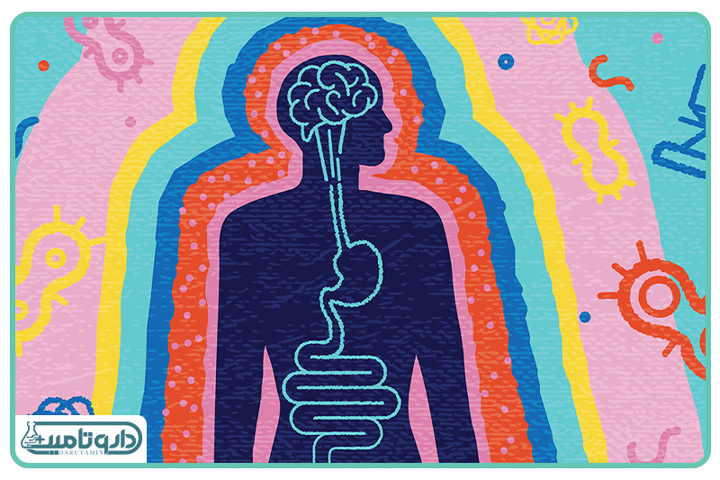 کلانشهر میکروبی درون شما