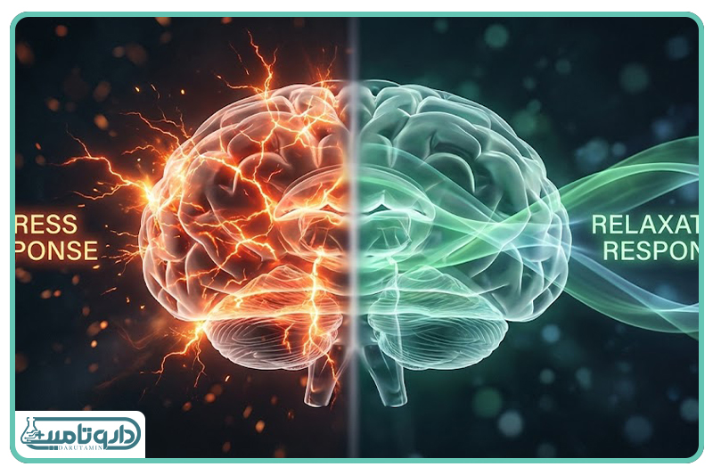 آرام&zwnj;سازی ذهن و کنترل استرس
