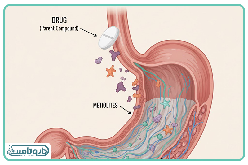 مکانیسم‌های پیچیده بدن در مواجهه با کوکتل‌های دارویی