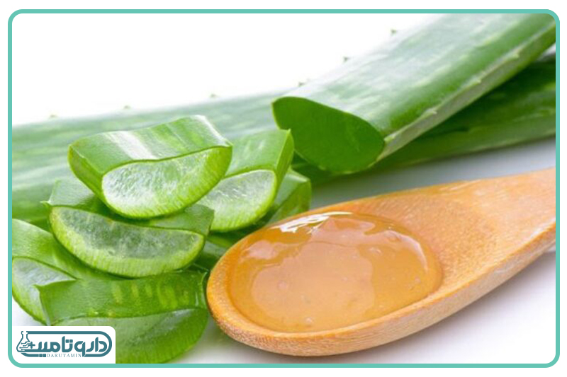 عصاره آلوئهورا: دارای خاصیت ضدالتهابی و مرطوبکننده است