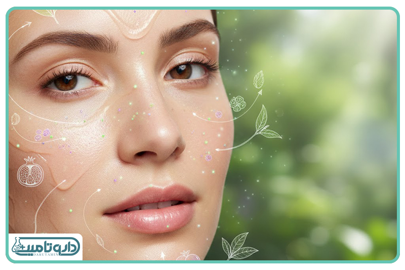 آنتیاکسیدانهای گیاهی